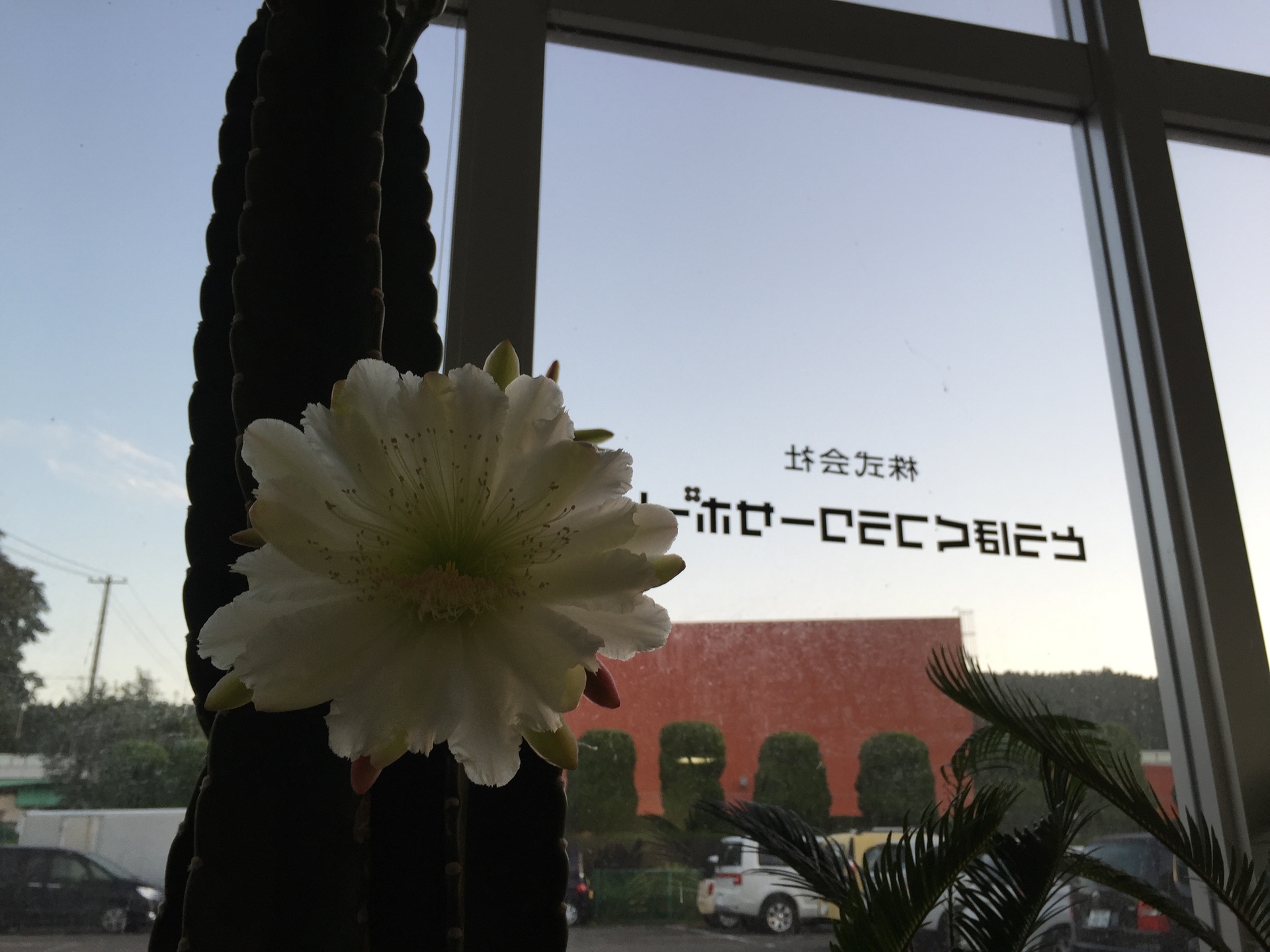 写真 2017-09-13 5 20 23.jpg