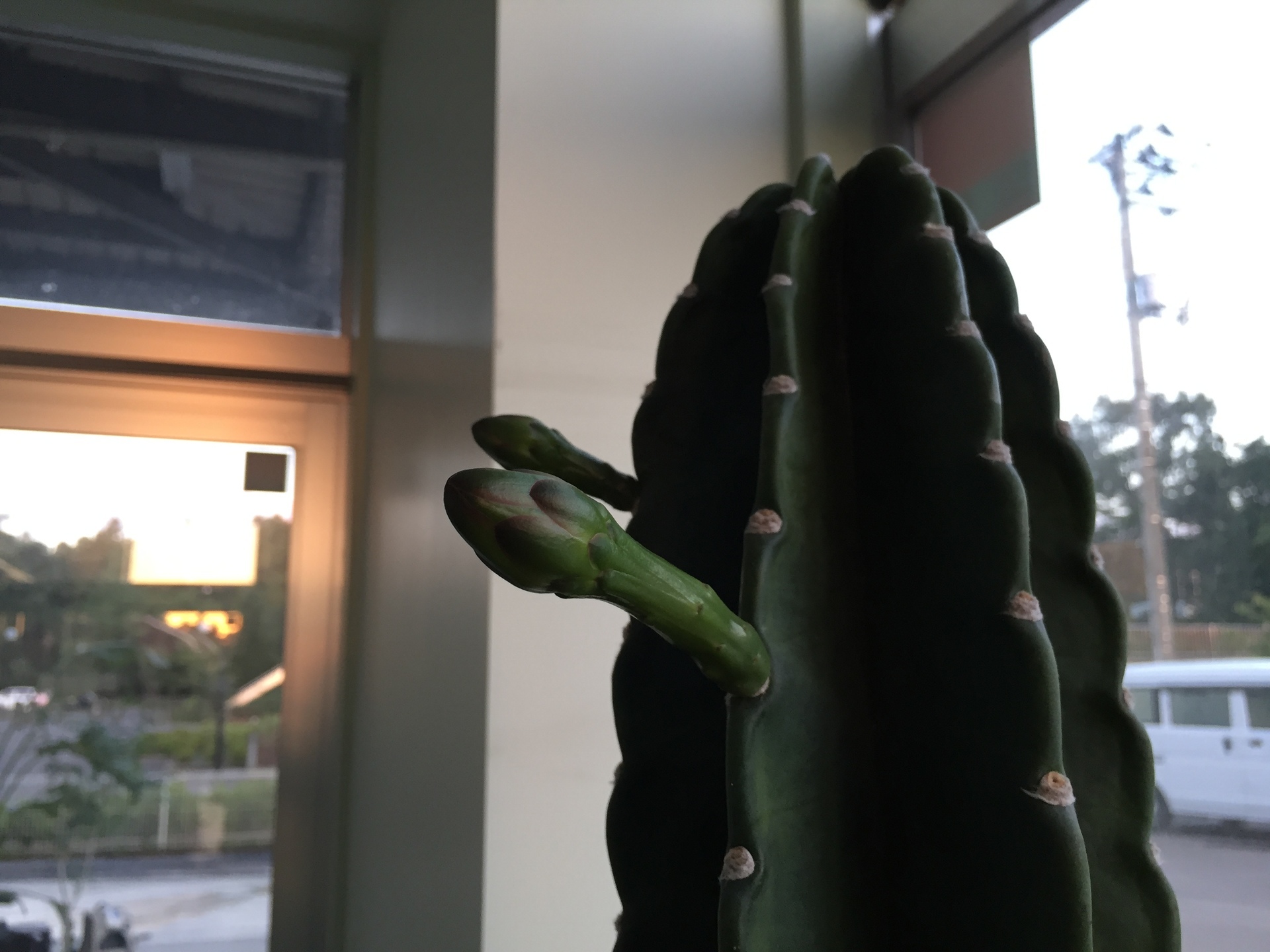 写真 2017-09-13 5 20 33.jpg